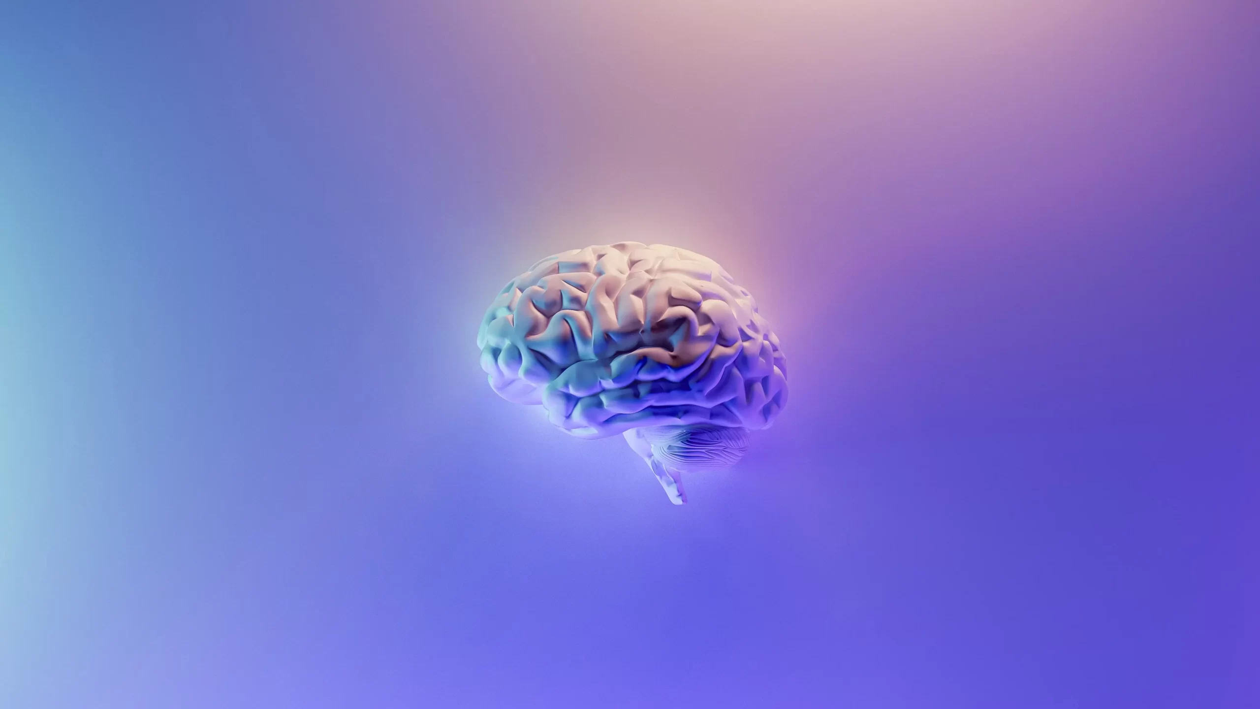 A 3d image of a brain